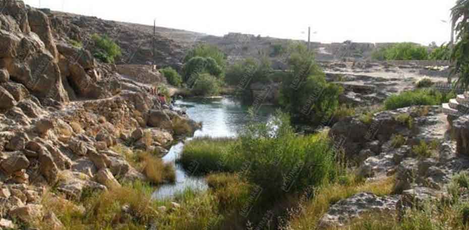 بلیط قطار مشهد صفاشهر - رسپینا 24